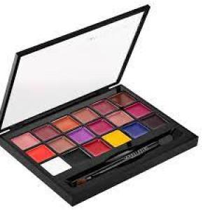 Anastasia Rouge Palette 18 Colors Original