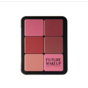 Palette blusher from Future 12 colors